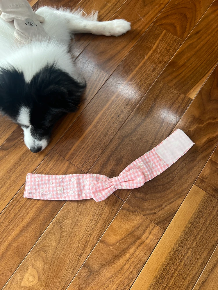 【愛犬の夏コーデ♡】注目のmonchériの涼感ウェア_9_1