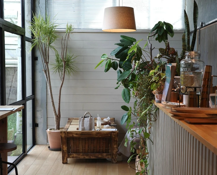 【保存版】子連れ沖縄旅行で”大人も満たされる”カフェ＆ごはん4選_13