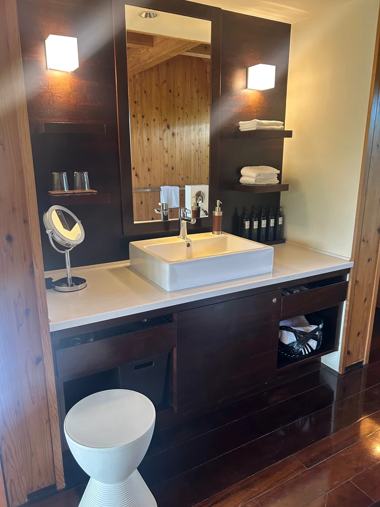 様々なアメニティがある大きな洗面台