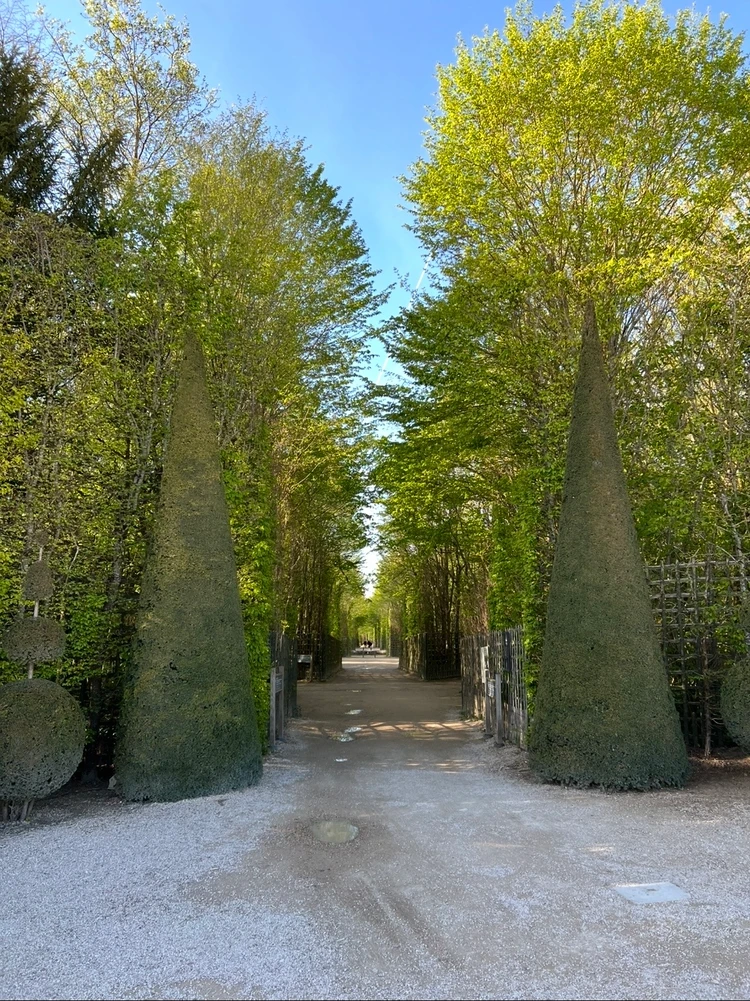庭園の様子