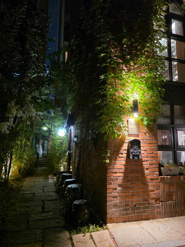 【韓国】芸能人御用達！ソウルで一度は行きたい高級韓牛店_1