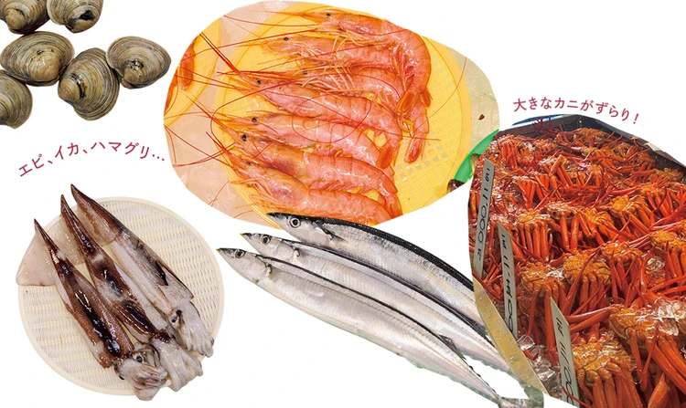海の幸好きにはたまらない！