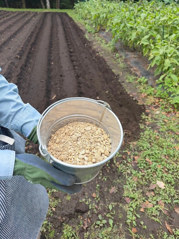 リゾナーレ那須　ファーマーズレッスン　収穫