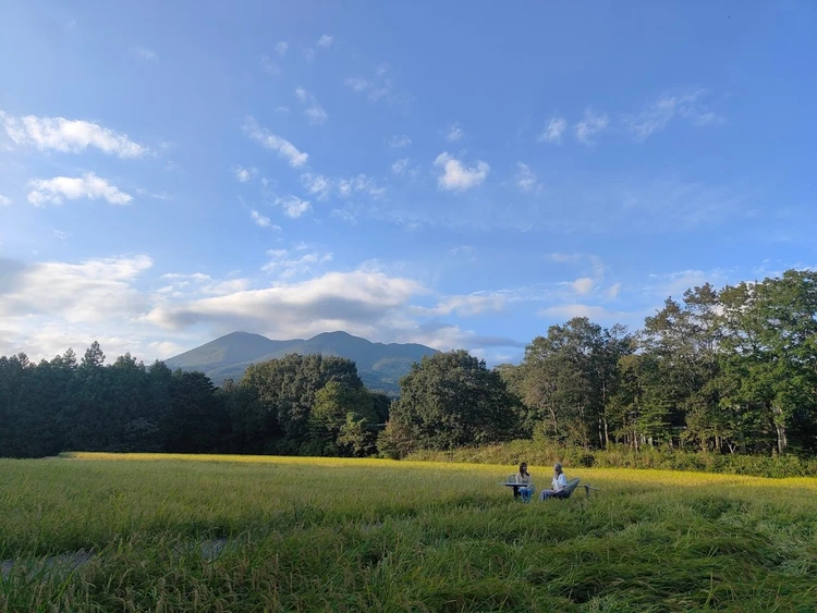 リゾナーレ那須 女子旅　田んぼ