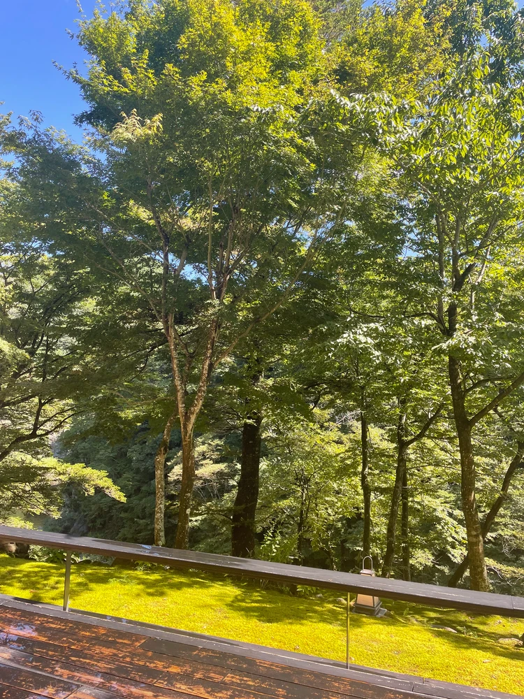 テラスからの眺め