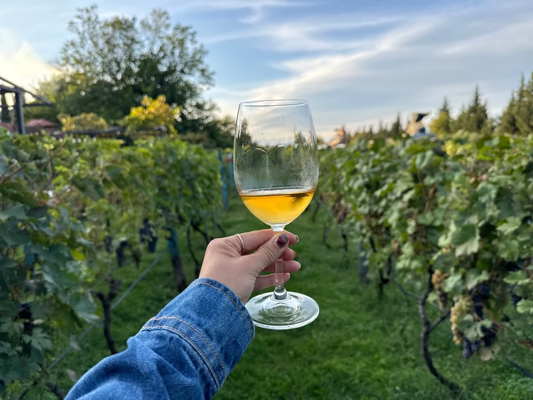 【旅好き会社員がこだわる】6000円でできた！海外旅行に行く前のネイルデザイン(秋のワイン旅編)_4