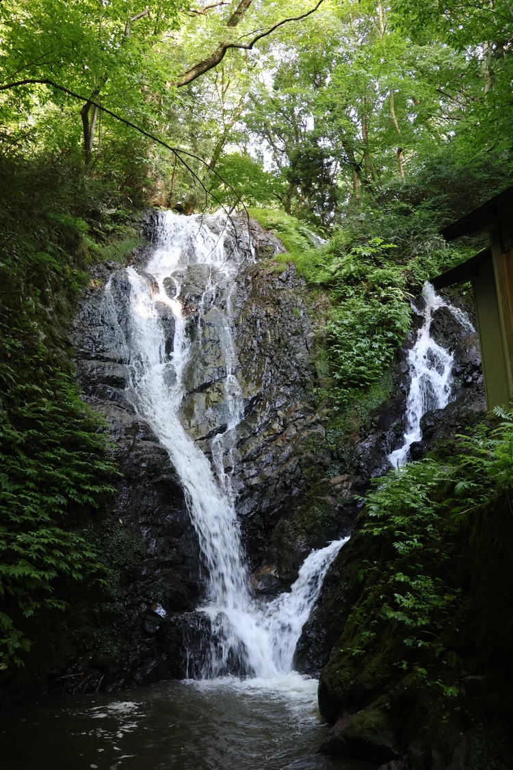 【会津若松】夏バテを癒やす１泊２日の旅【前編・蕎麦と滝の涼】_7