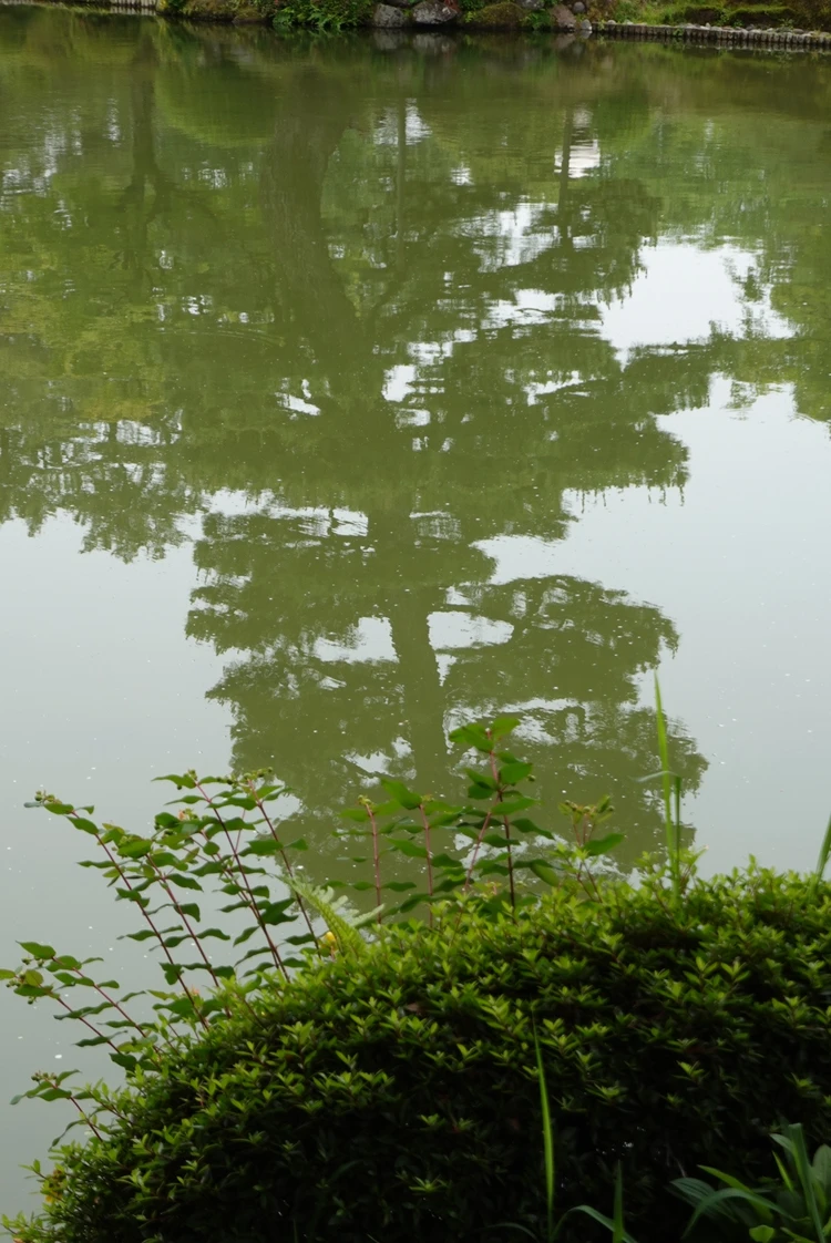 兼六園の様子