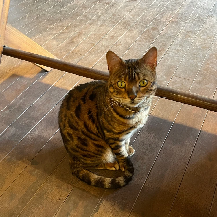 グランヴェルデリゾート