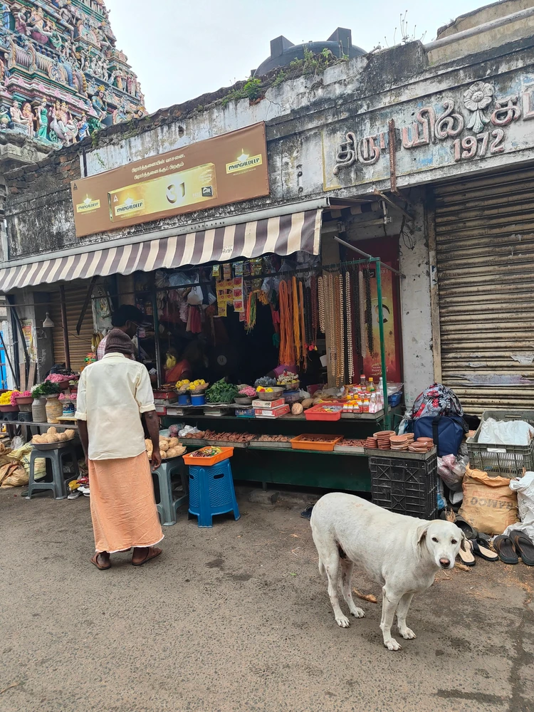 チェンナイ　インド　ヒンドゥー教お寺