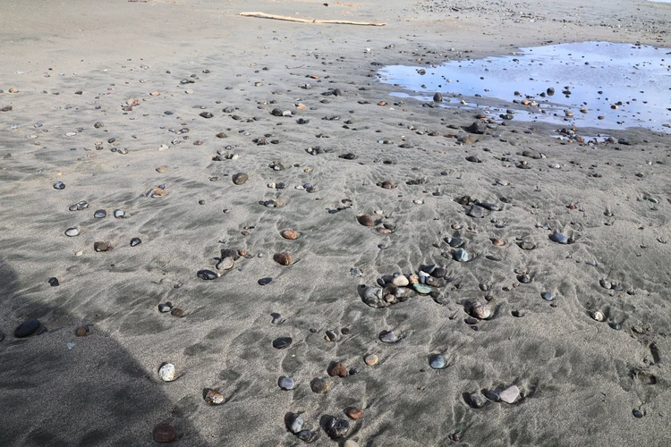 【浜松】風と砂のアートを楽しむ中田島砂丘が日帰り絶景ドライブ旅に最適!【週末リセット】_7