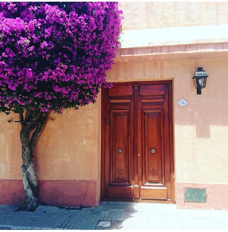 #カメラ部 街全体がキャンバス。ウルグアイの古都で見つけた「推しフォトスポット」_3