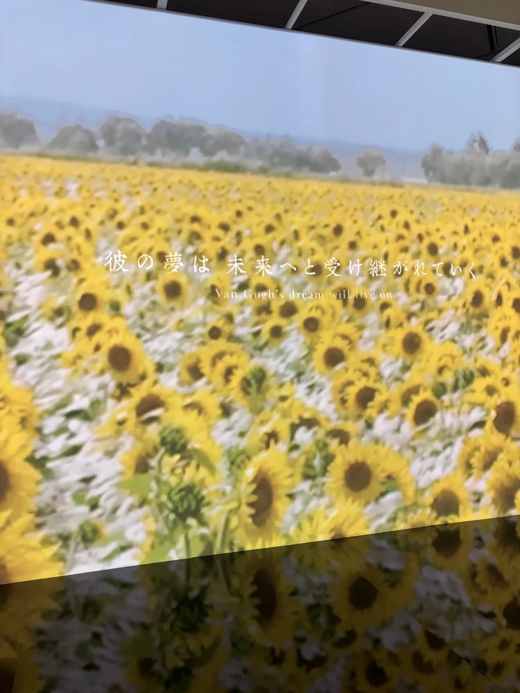 上野 美術館 ゴッホ ひまわり