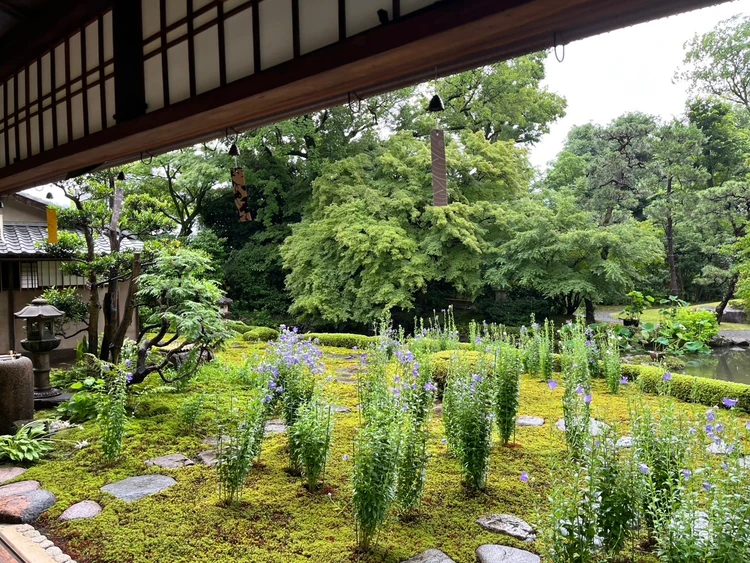 雨の日お出かけコーデ&室内スポット紹介🩷【旧三井家下鴨別邸】_3_1