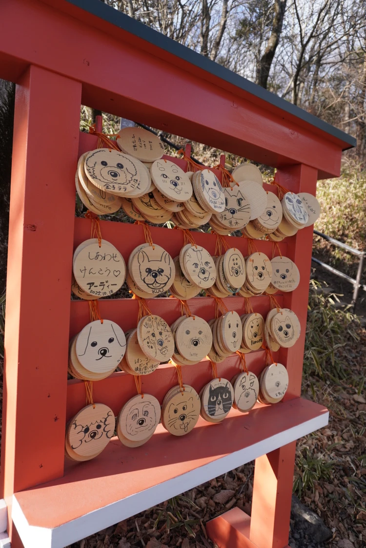 【軽井沢のパワースポット】熊野皇大神社 犬の絵馬