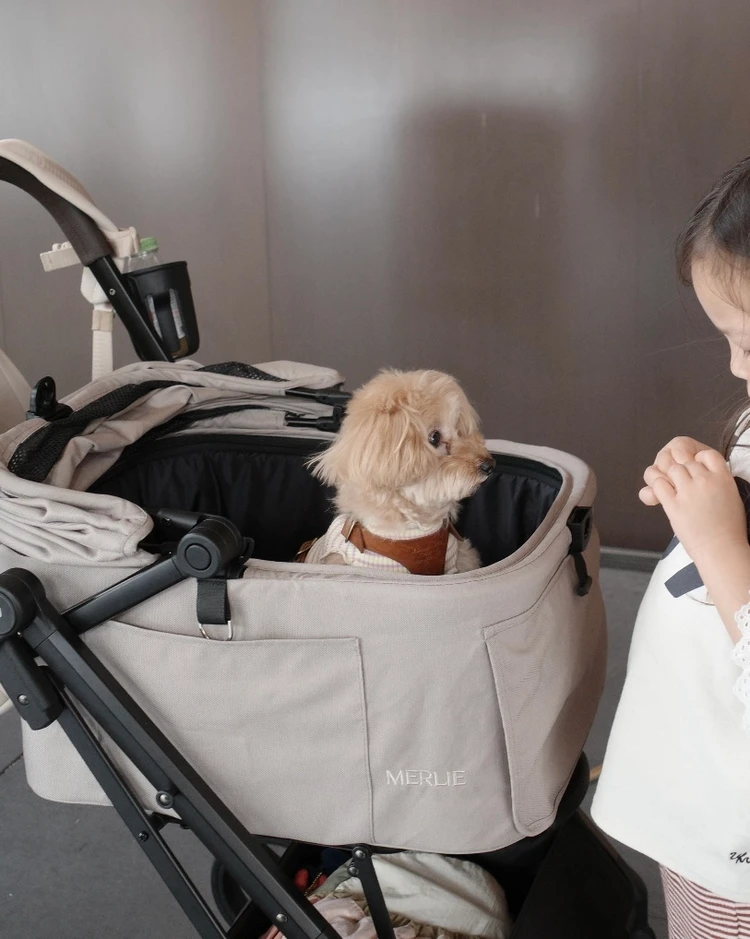 【初めての犬連れ京都旅行】ワンちゃんと新幹線で行く京都旅｜準備・移動のリアル体験_3