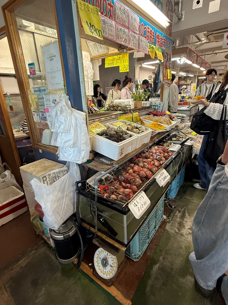 【車で行くみさき港】GWに行った三浦半島の日帰り旅が最高だったお話_2_2