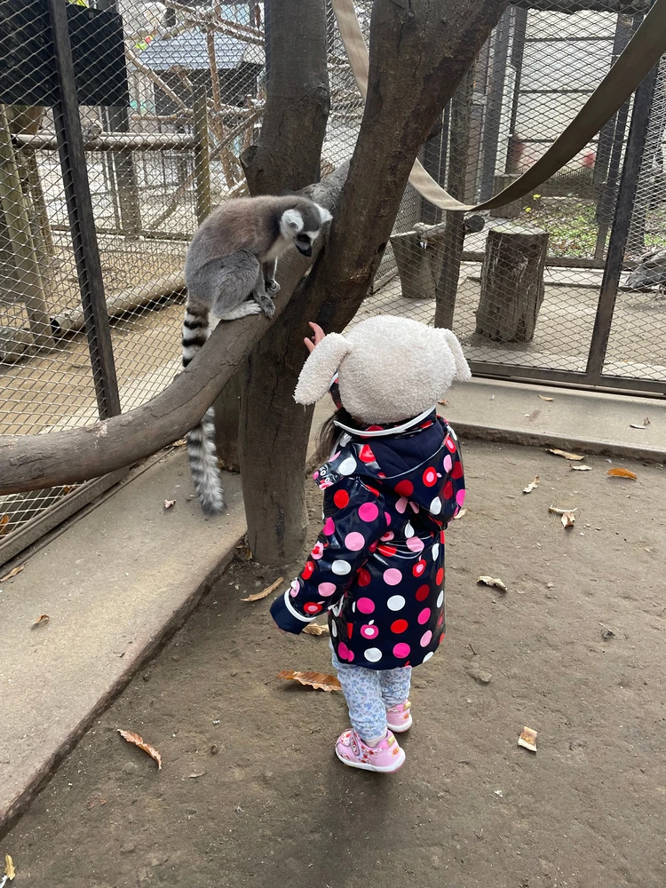 0距離で動物とふれあえる、“特別な1日”がここにあった_4
