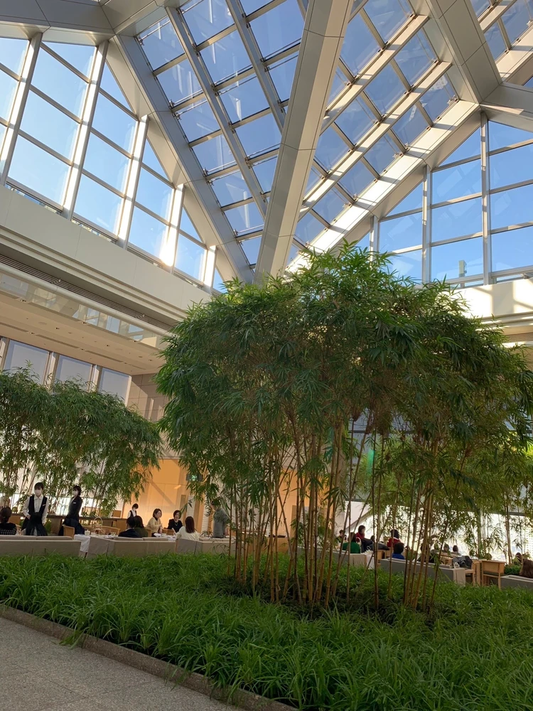 2025年12月9日リニューアルオープン！結婚式を挙げたパークハイアット東京の魅力 【館内編】_2