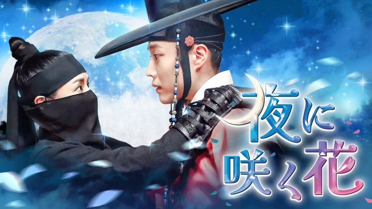 夜に咲く花:イ・ハ二とイ・ジョンウォン