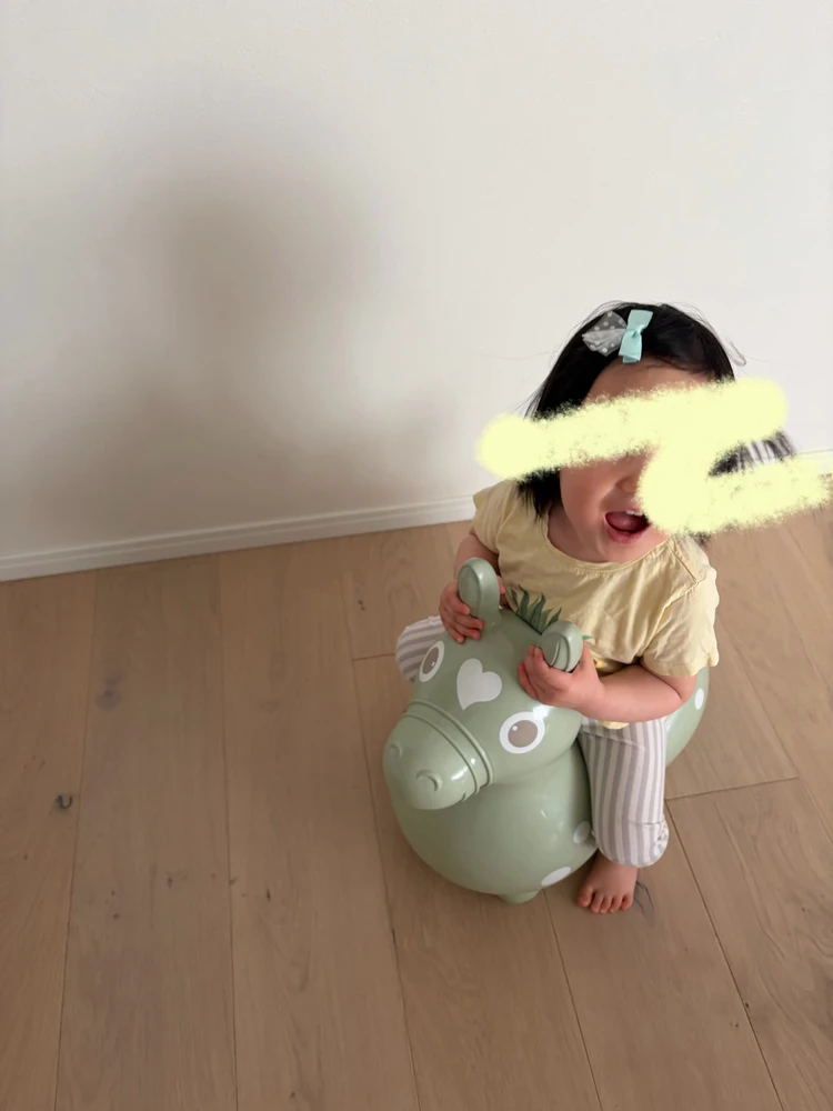 【子どもの玩具】インテリアに馴染むくすみカラーのロディ_7