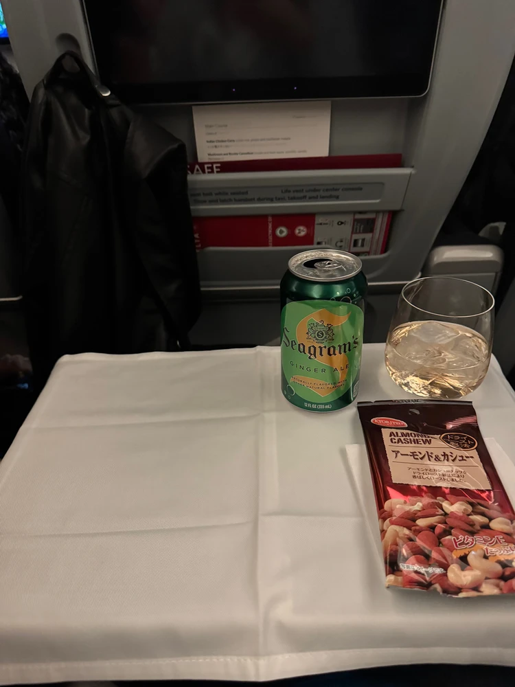 #機内食レポ｜デルタ航空で楽しむ本格インド風チキンカレー_4