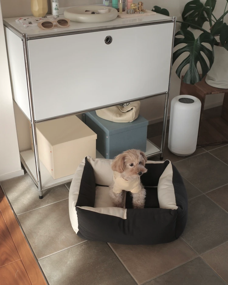 ワンちゃんをお迎えしたお家におすすめしたい気分が上がるインテリア_7