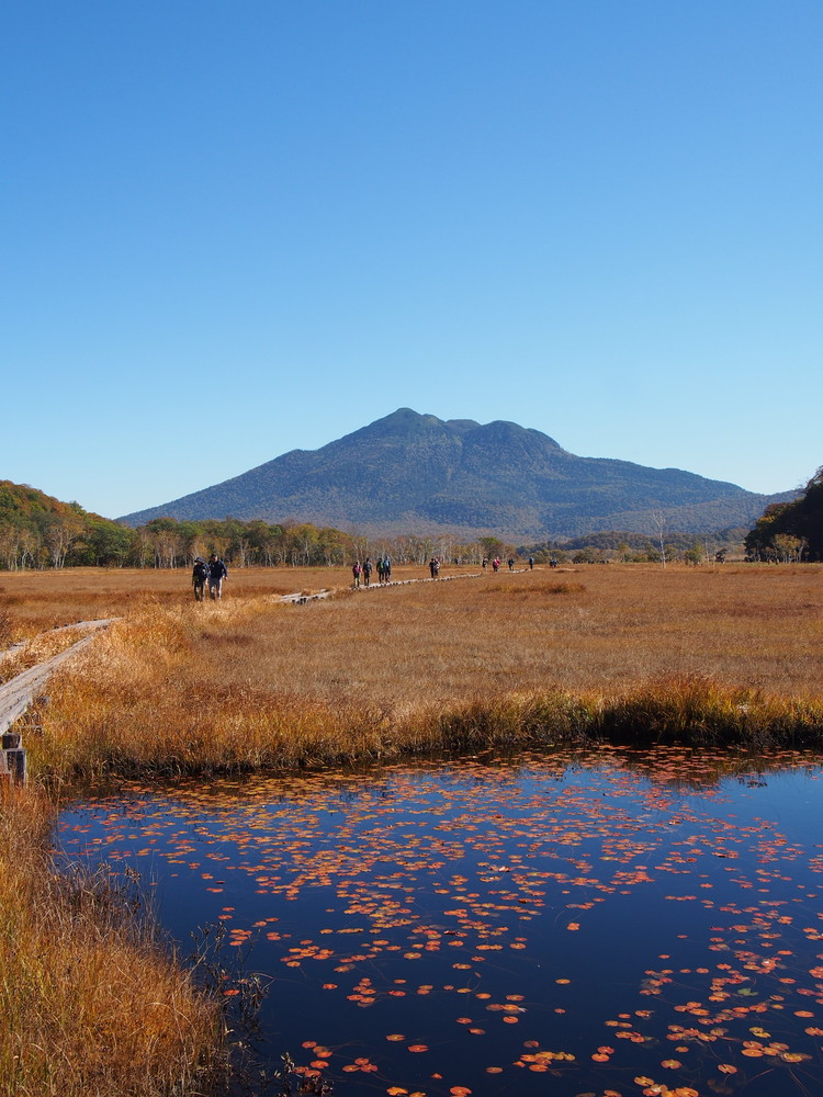 【尾瀬ハイキング】平地だけじゃなかった！初心者が紅葉シーズンに6時間歩いてみた_8_2