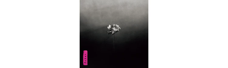 ALBUM 『Lotus』　Little Simz 6/6配信 国内盤￥2860 BEAT RECORDS/AWAL