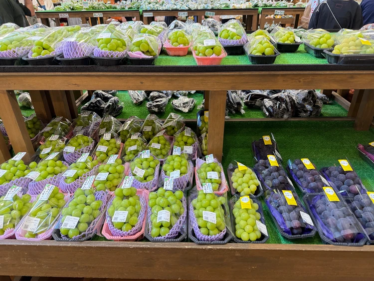 シャインマスカット