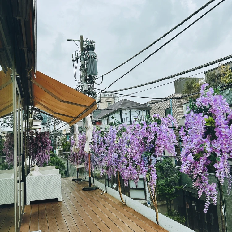 【表参道で楽しむアフタヌーンティー】約3000本の藤の花が降り注ぐ夢のような空間で…｜HAUTE COUTURE CAFE_2_2