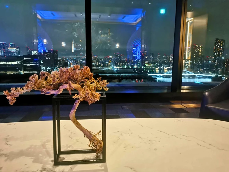 節目に泊まりたい【メズム東京】五感から「スタート」を後押ししてくれた宿泊記_2