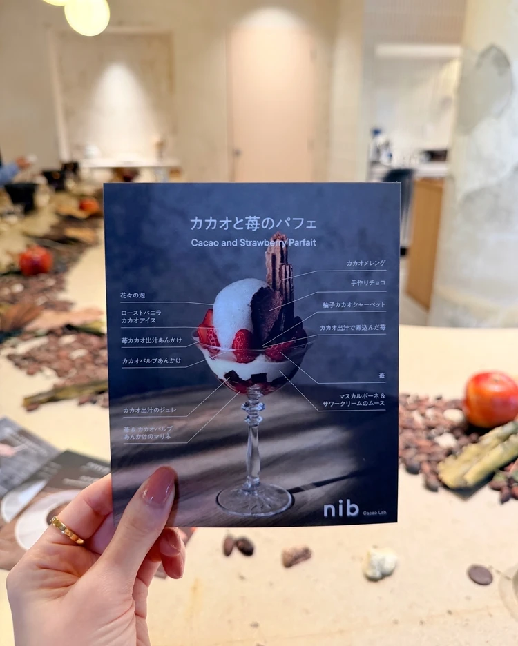 nib カカオ専門店 チョコレート カカオと苺のパフェ