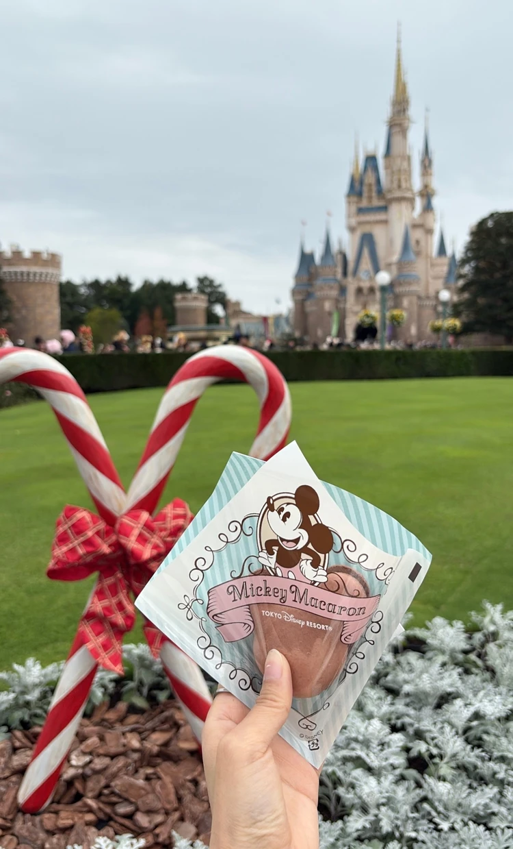 2025 ディズニーXmas_2