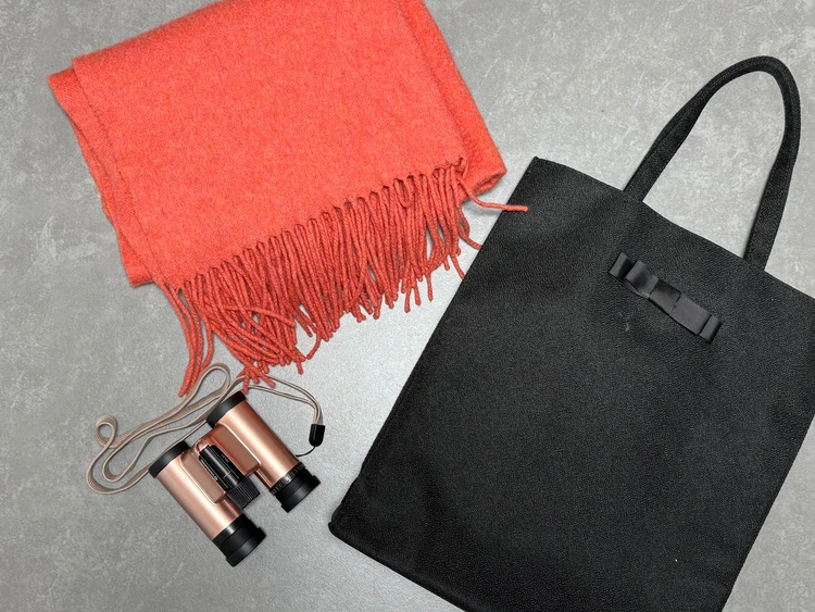 舞台鑑賞の持ち物　舞台観劇持ち物　舞台観劇アイテム　オペラグラス　ストール　大きめのバッグ