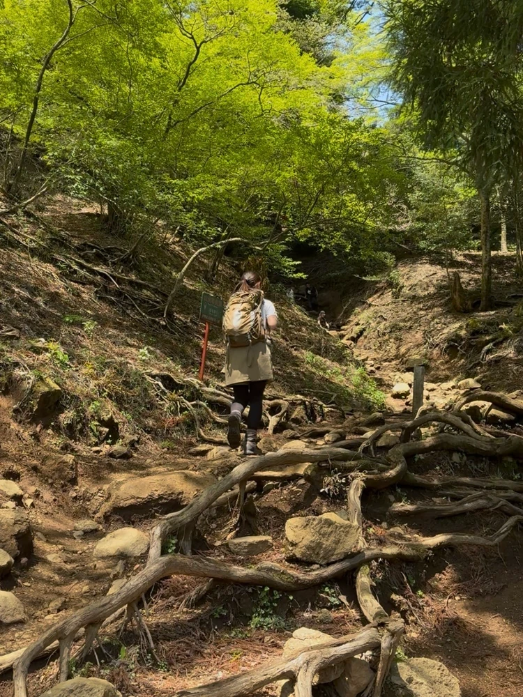 大山登山