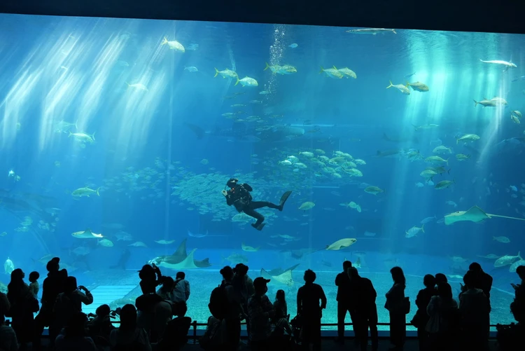 10ヶ月ベビーと行く3泊4日沖縄旅後半【美ら海水族館、プール、ホテルディナー、やちむん通り】_4