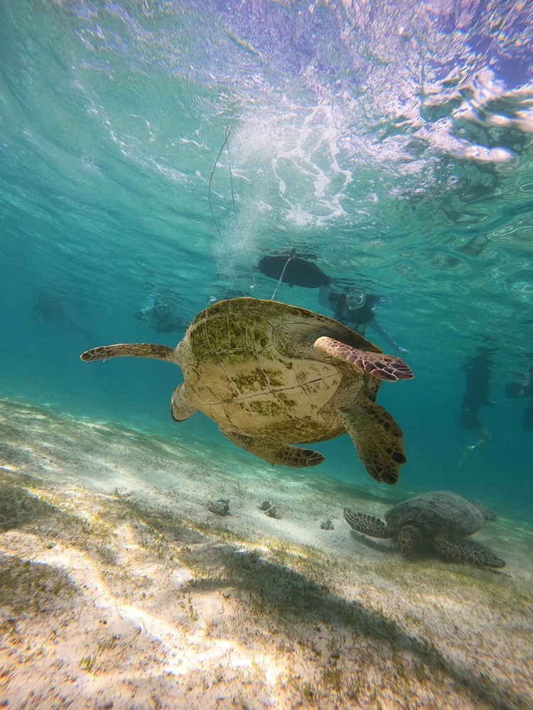 【宮古島】シュノーケル＆クリアサップ_1