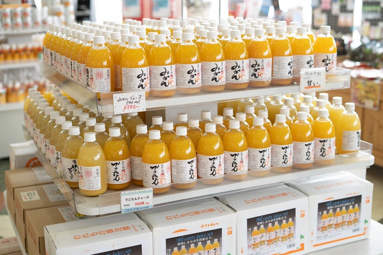 【しまなみ海道サイクリング】“愛媛のいいとこ全部入り”最高プラン（後編）_10_1