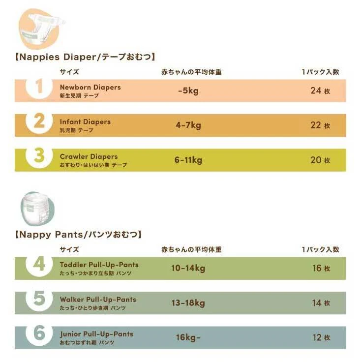 Terra サイズ比較表