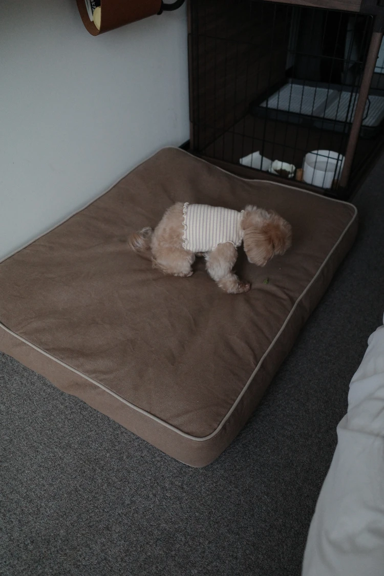 【京都ペット可ホテル】Ace Hotel Kyoto宿泊記｜犬連れ旅行におすすめの理由_4