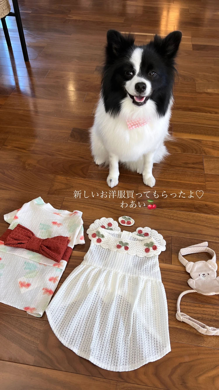 【愛犬の夏コーデ♡】注目のmonchériの涼感ウェア_1