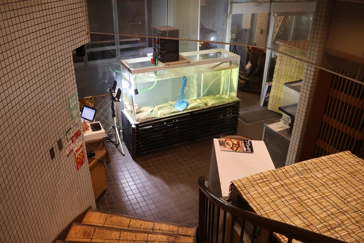 【札幌】紅葉見頃！中島公園（＋ススキノ）を弾丸ゆったり楽しむ１泊２日旅【2025年秋モデルコース】_6_1