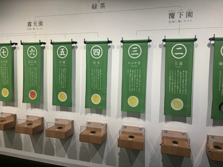 【京都・宇治】車なしで巡る、夏のお茶旅1日モデルコース_12