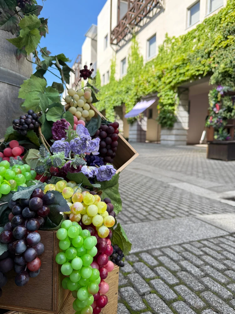 ピーマン通り　回廊の葡萄フェスタ