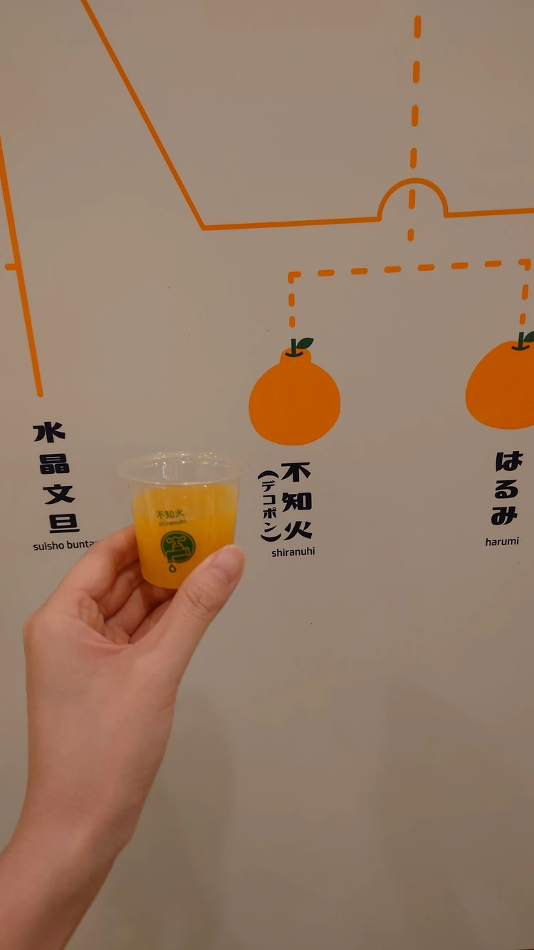蛇口からみかんジュース?大人のための道後ぽかぽかリトリート_5_3