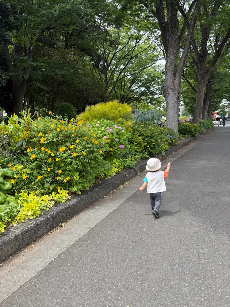 【駒沢公園】今だけ楽しめる紫陽花&周辺のおすすめカフェ8選_4_1