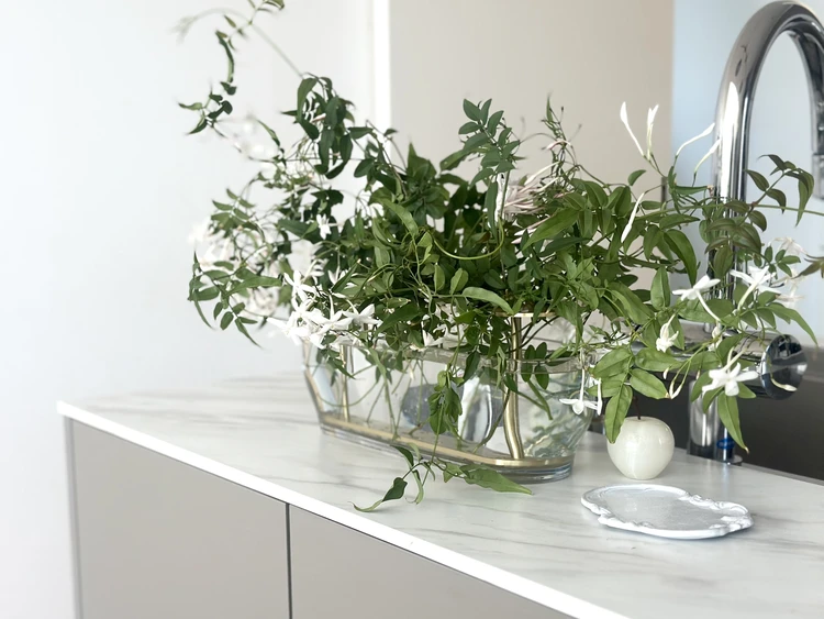 自宅に咲く羽衣ジャスミンをいけてみた日_1