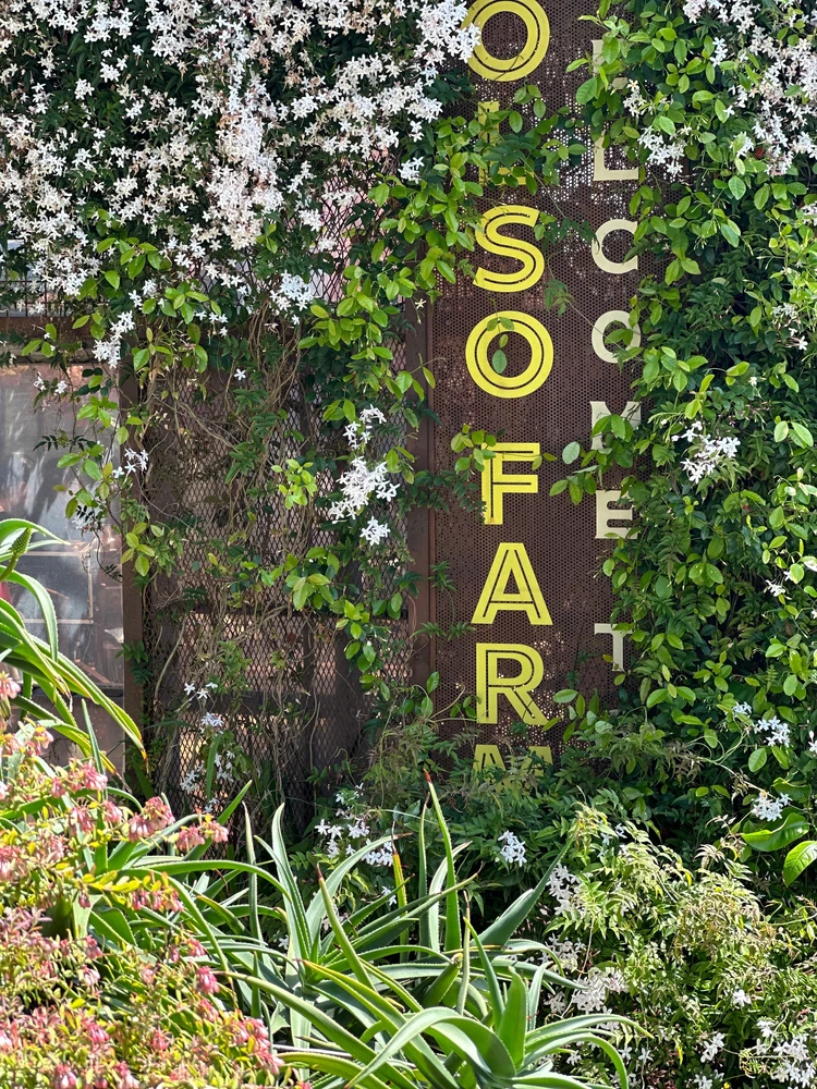 緑とお洒落とヘルシーが叶う！『SOLSO FARM』の初夏_2