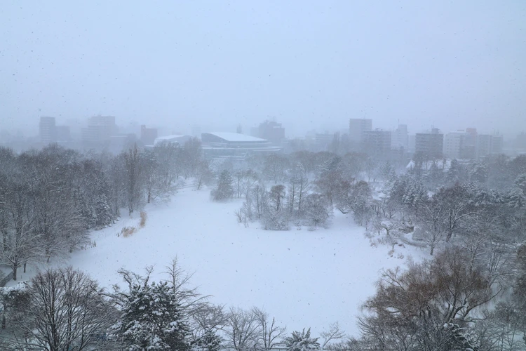 【札幌】焚き火バー、雪のなだ万朝食…冬に「非日常」を味わうハイクラスホテル２選_15_1